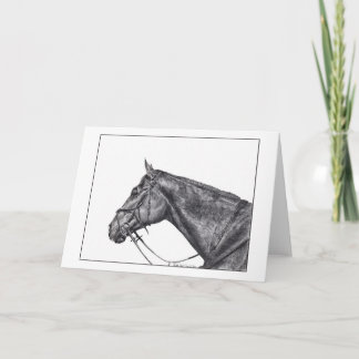 Sullivan's Profile Card