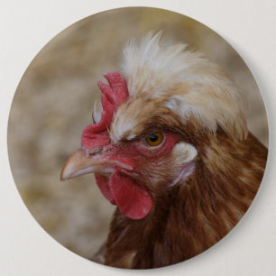 Sulmtaler Hen 6 Cm Round Badge