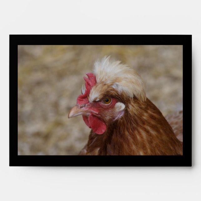 Sulmtaler Hen Envelope (Front)