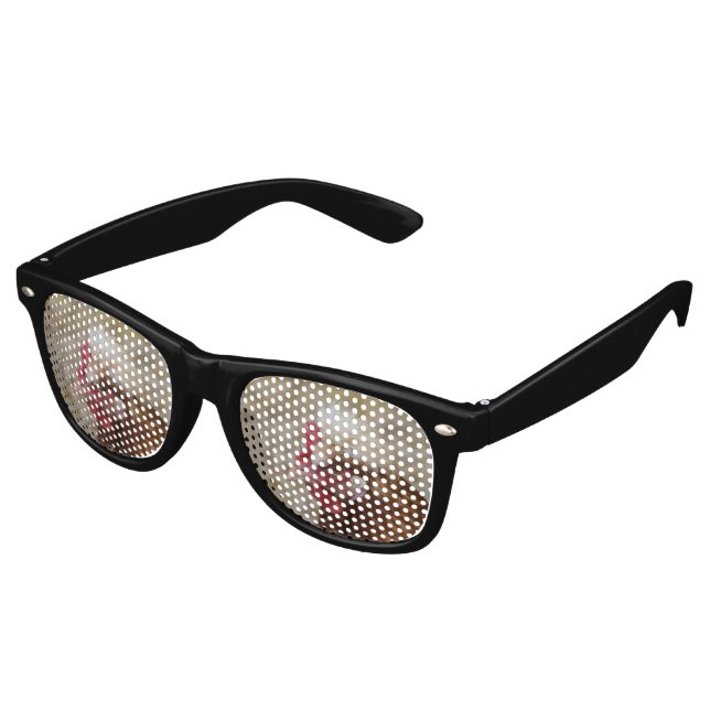 Sulmtaler Hen Retro Sunglasses (Angled)