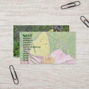 Sulpher Butterfly Business Card