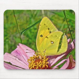 Sulphur Butterfly Mouse Pad