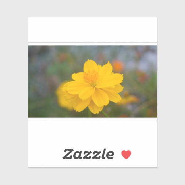 Sulphur Cosmos 01 (Sheet)