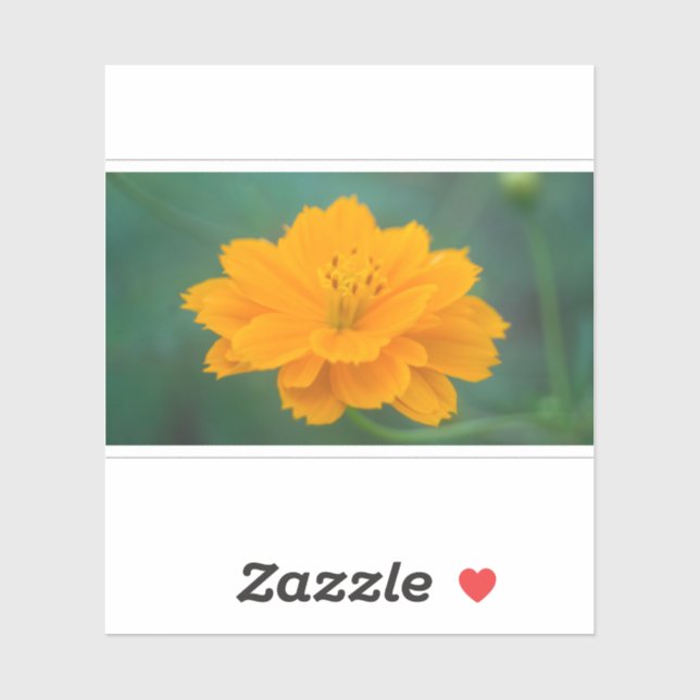 Sulphur Cosmos 02 (Sheet)