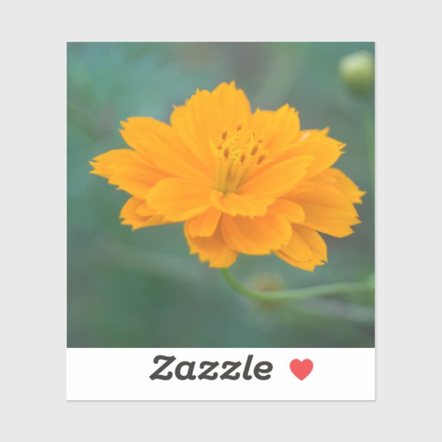 Sulphur Cosmos 04 (Sheet)