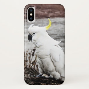 Sulphur-Crested Cockatoo iPhone X Case