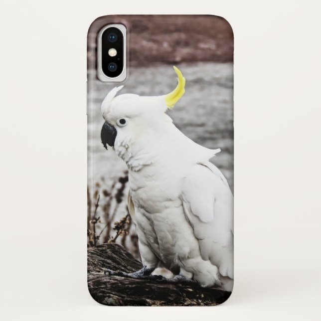 Sulphur-Crested Cockatoo Case-Mate iPhone Case (Back)