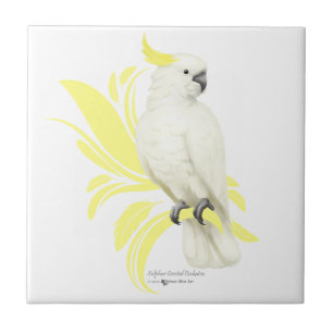 Sulphur Crested Cockatoo Ceramic Tile