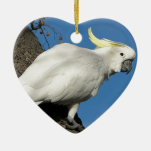 Sulphur crested cockatoo ceramic tree decoration