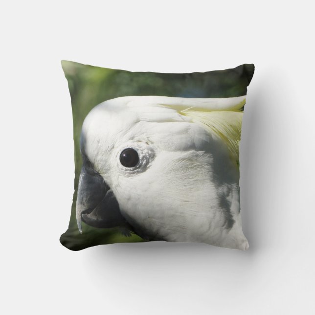 Sulphur Crested Cockatoo Cushion (Front)