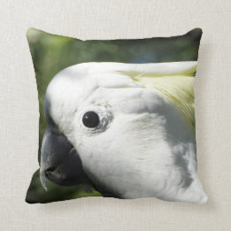 Sulphur Crested Cockatoo Cushion