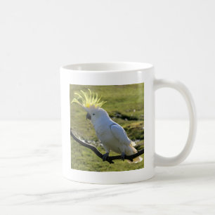 Sulphur-Crested Cockatoo in Australia Coffee Mug