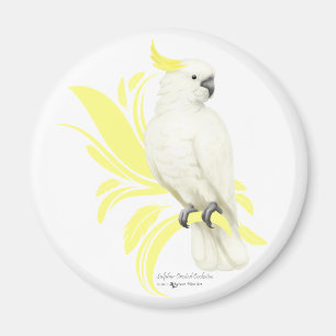 Sulphur Crested Cockatoo Magnet