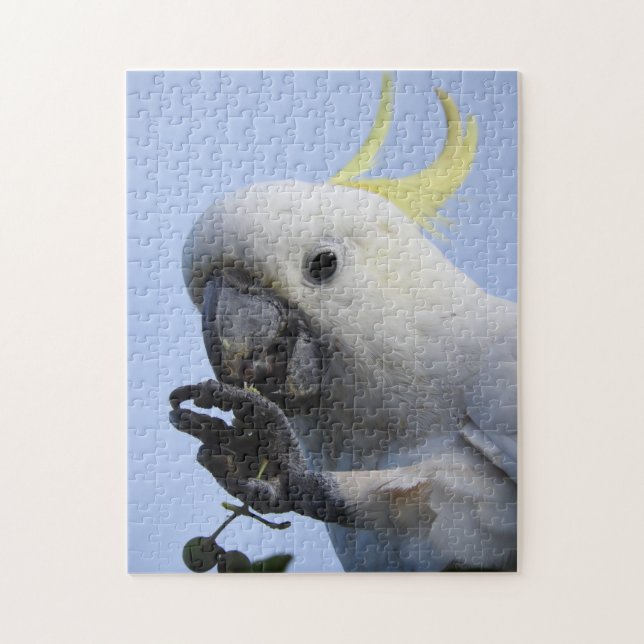 Sulphur-Crested Cockatoo Puzzle (Vertical)