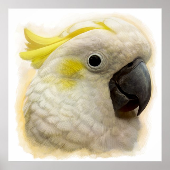 Sulphur Crested Cockatoo realistic painting Poster (Front)