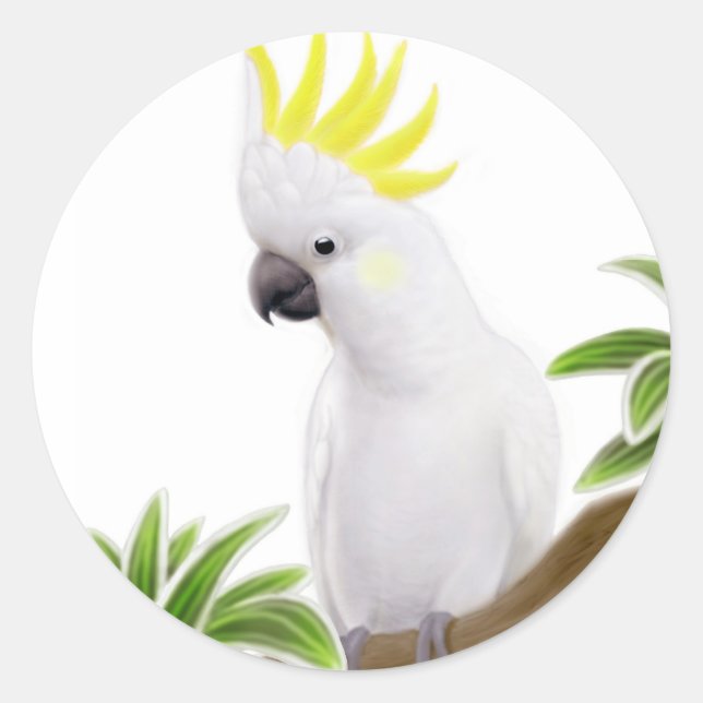 Sulphur Crested Cockatoo Sticker (Front)