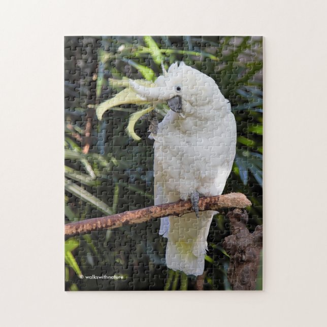 Sulphur-Crested Cockatoo Waves at the Photographer Jigsaw Puzzle (Vertical)