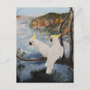 Sulphur-Crested Cockatoos in The Blue Mountains' Postcard