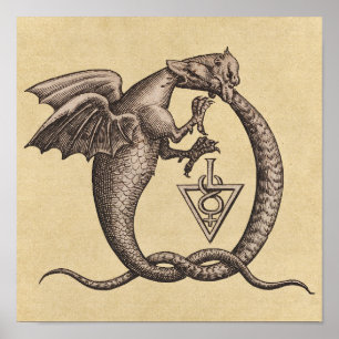 Sulphur & Mercury Alchemy Dragon Symbol Poster