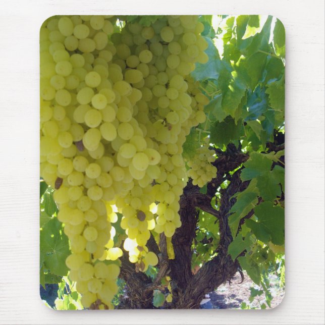 Sultana Grapes On A Grape Vine,  Mouse Pad (Front)