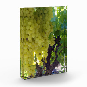 Sultana Grapes On A Grape Vine,  Photo Block