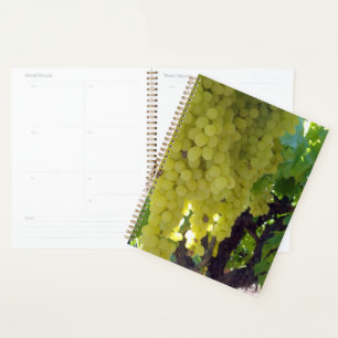 Sultana Grapes On A Grape Vine, Planner