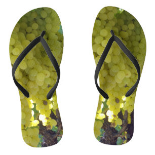 Sultana Grapes On A Grape Vine, Thongs