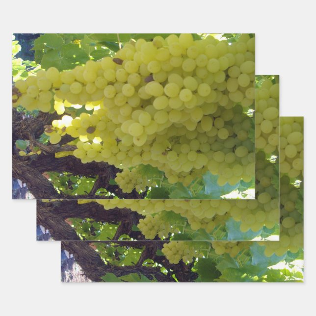 Sultana Grapes On A Grape Vine,  Wrapping Paper Sheet (Set)