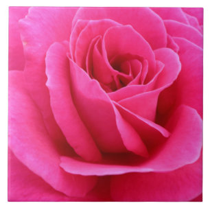Sultry Candy Red  Rose Photo  Ceramic Tile
