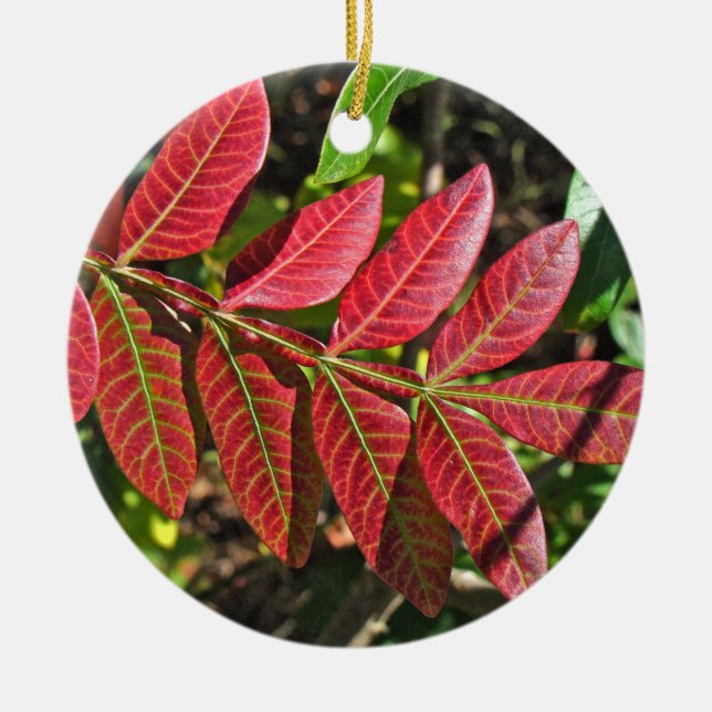 Sumac Leaves In Autumn Ceramic Tree Decoration (Front)