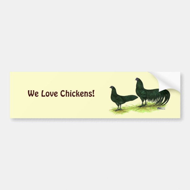 Sumatra Black Chickens Bumper Sticker (Front)