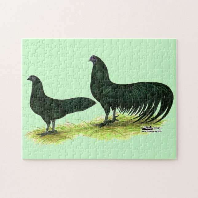 Sumatra Black Chickens Jigsaw Puzzle (Horizontal)