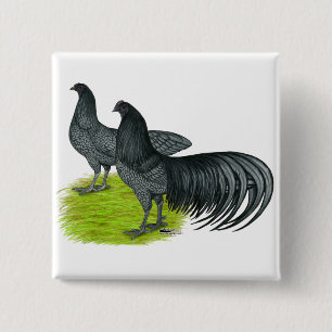 Sumatra:  Blue Pair 15 Cm Square Badge