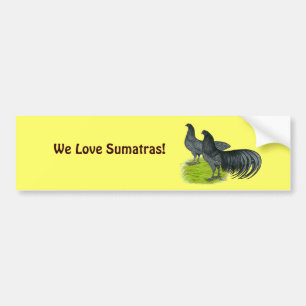 Sumatra:  Blue Pair Bumper Sticker