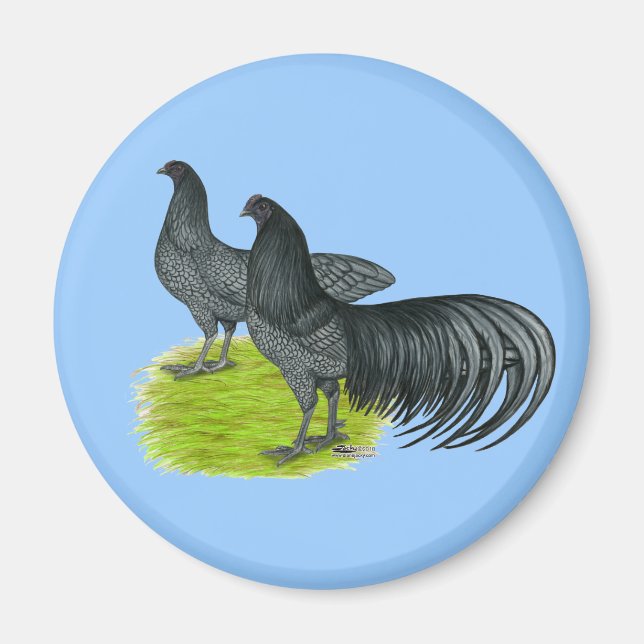 Sumatra:  Blue Pair Magnet (Front)