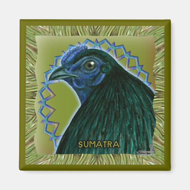 Sumatra Rooster Framed Magnet (Front)