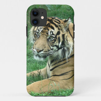 Sumatra Tiger On iPhone 5 Barely There 11 Case