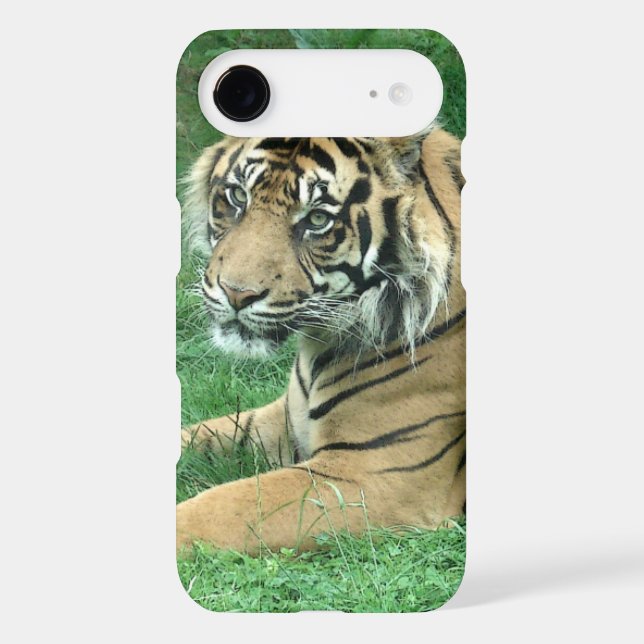 Sumatra Tiger On Your iPod Touch Case-Mate Cover (Back)