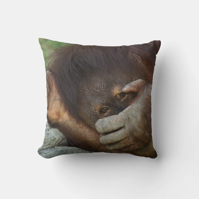 Sumatran Orangutan, Pongo pygmaeus Cushion (Front)
