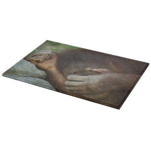 Sumatran Orangutan, Pongo pygmaeus Cutting Board