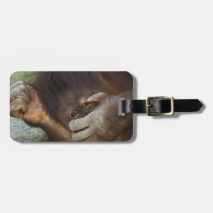 Sumatran Orangutan, Pongo pygmaeus Luggage Tag