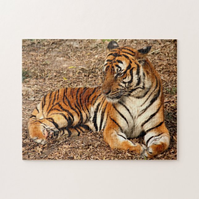 Sumatran Tiger 2 Jigsaw Puzzle (Horizontal)