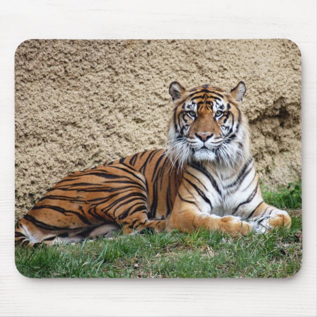 sumatran tiger 7 mouse pad (Front)