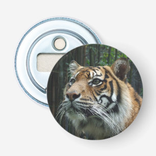Sumatran Tiger Bottle Opener