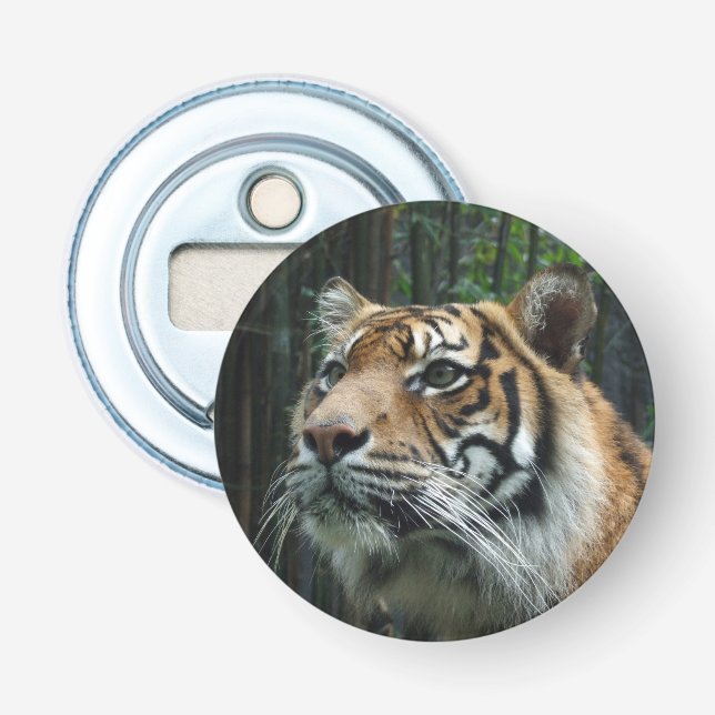 Sumatran Tiger Bottle Opener (Front)