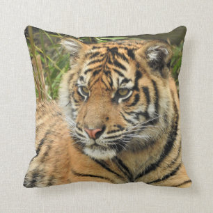 Sumatran Tiger Cub Cushion