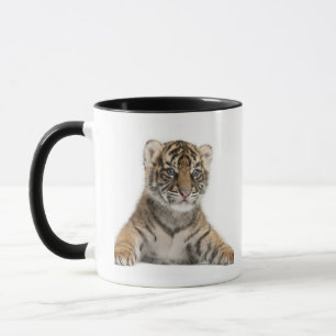 Sumatran Tiger cub Mug
