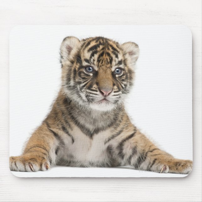 Sumatran Tiger cub - Panthera tigris sumatrae (3 Mouse Pad (Front)