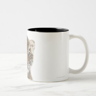 Sumatran Tiger cub - Panthera tigris sumatrae (3 Two-Tone Coffee Mug