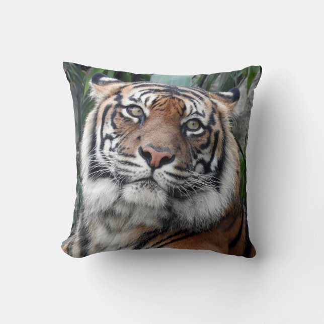 Sumatran Tiger Cushion (Front)